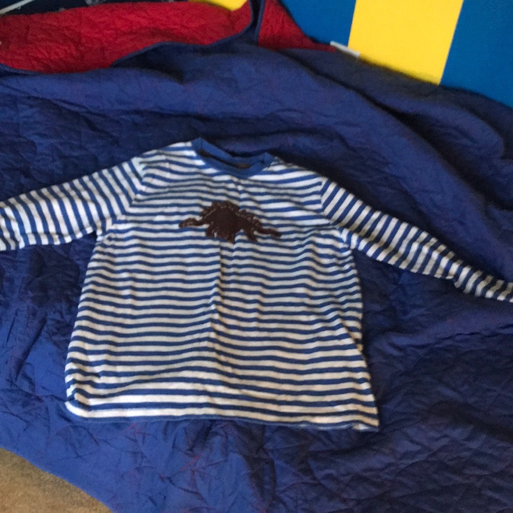👕 Long sleeved DINOSAUR 🦕 shirt
